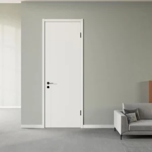 Custom Modern Interior Door in a contemporary living room